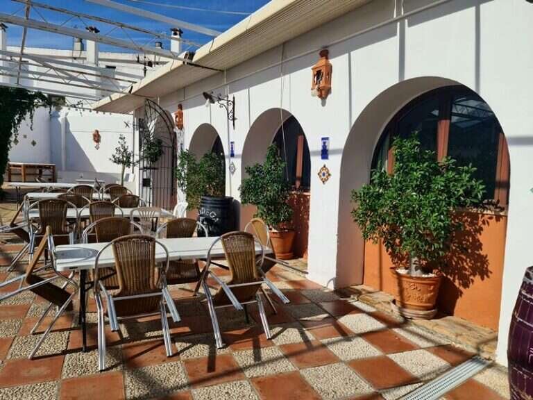 Bodega El Bólido, bar o restaurante en Olivares, Sevilla