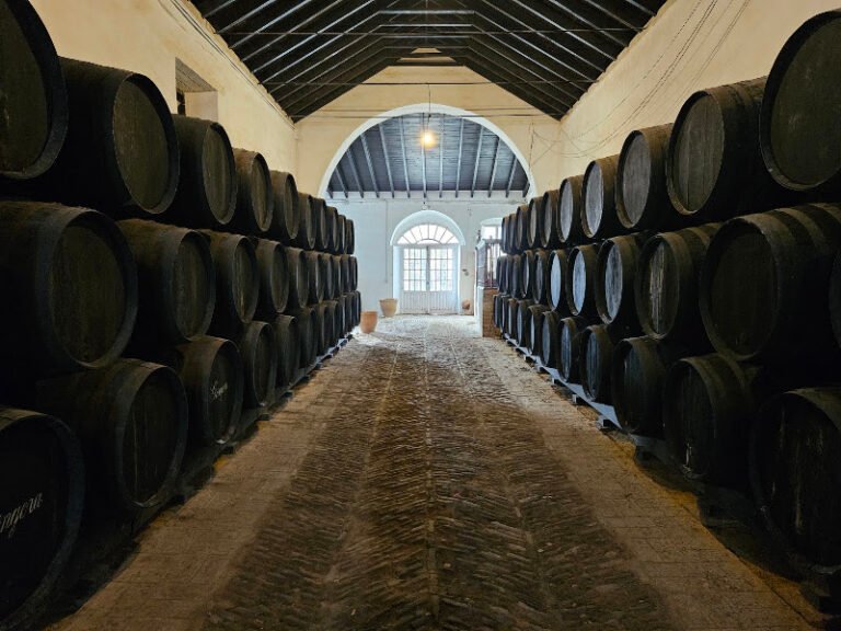 Bodegas Góngora | Villanueva del Ariscal, Sevilla, bar o restaurante en Villanueva del Ariscal, Sevilla
