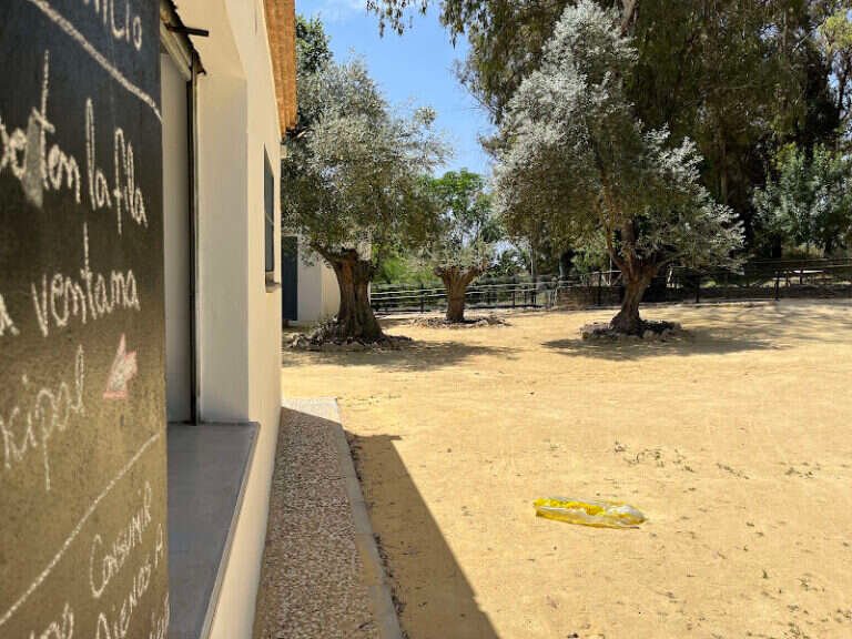Cafetería los Manantiales, bar o restaurante en Gelves, Sevilla