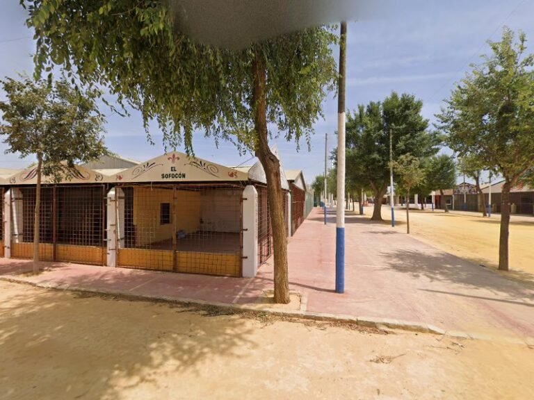 Caseta Peña Bética Nazarena, bar o restaurante en Dos Hermanas, Sevilla